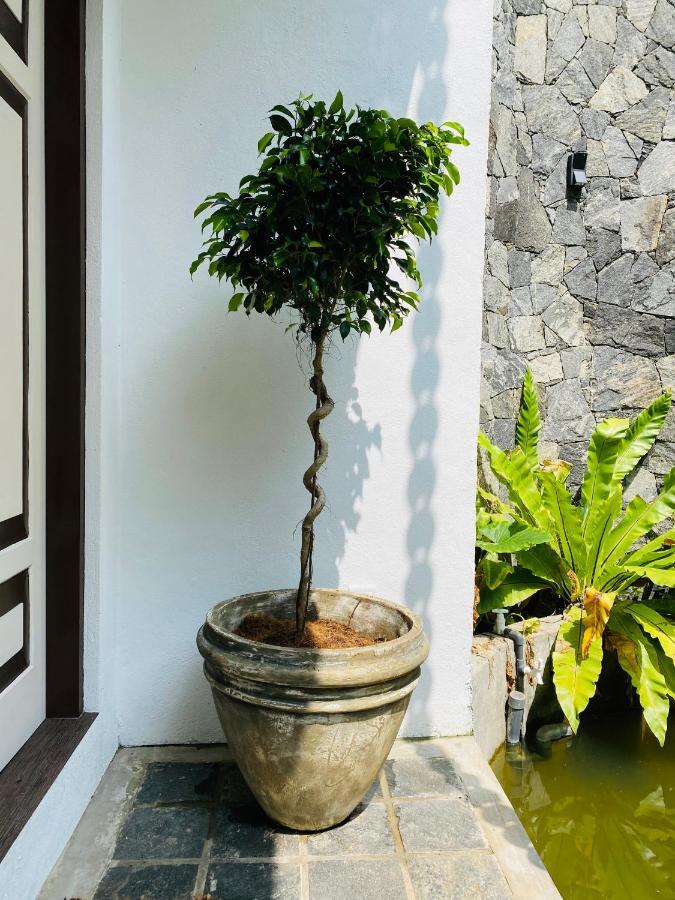Thaprobana Villa Tangalle - Private Villa Exterior photo